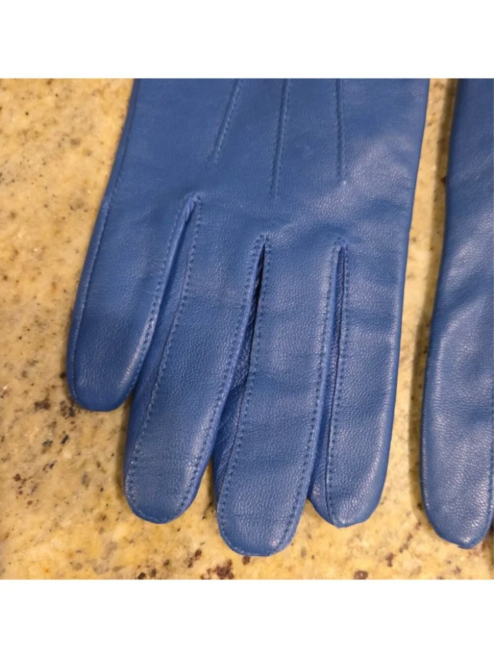 Womens Size S/M Blue Leather Lined Gloves